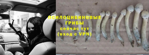 кристаллы Кодинск
