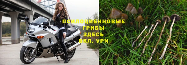 амфетамин Козловка