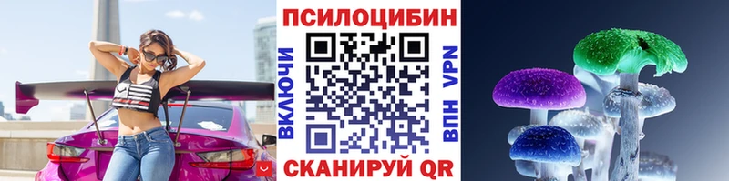 Купить где  Лысково  Псилоцибиновые грибы Psilocybine cubensis 